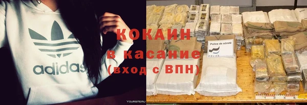 твердый Алзамай