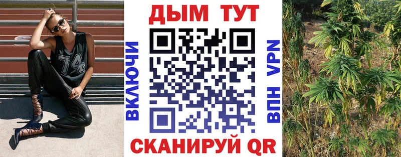 МАРИХУАНА THC 21%  дарнет шоп  Можга 